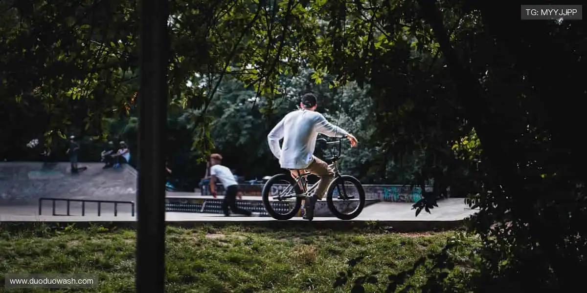 🎉 冠军之路,与你同在,